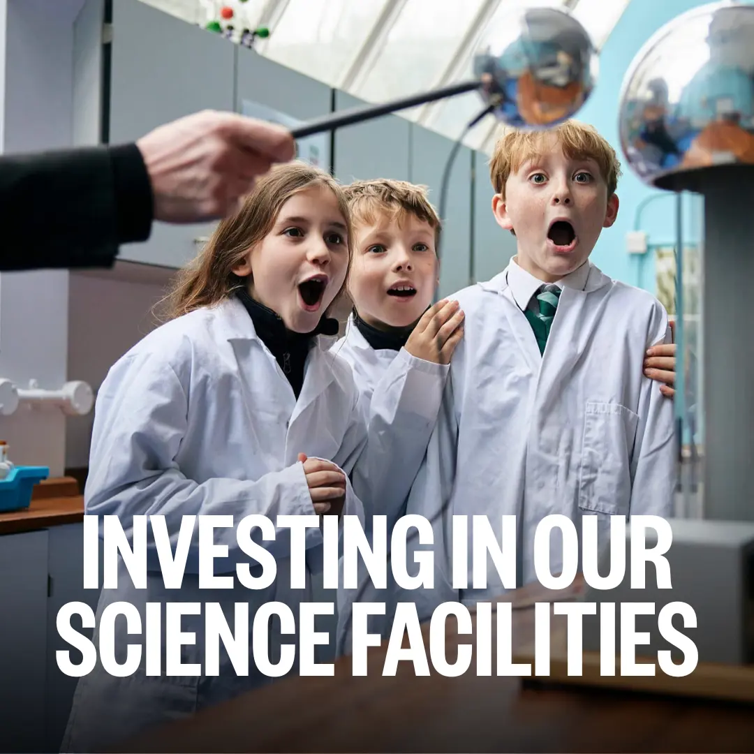  OptimizedImage,Optimized