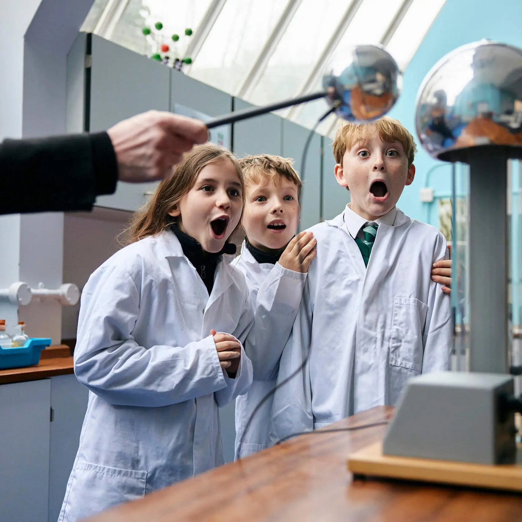  OptimizedImage,Optimized