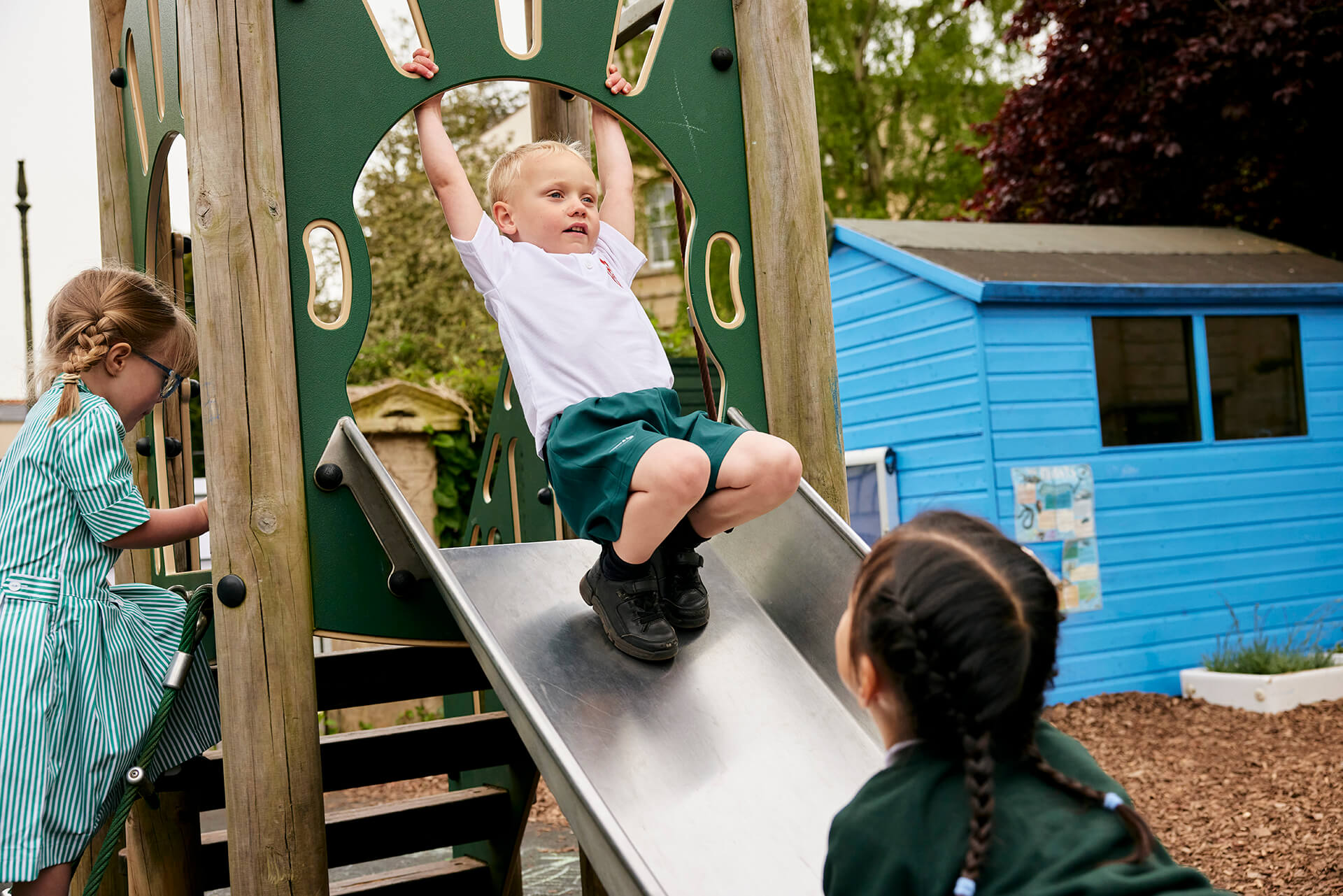 OriginalImage,Original,hive