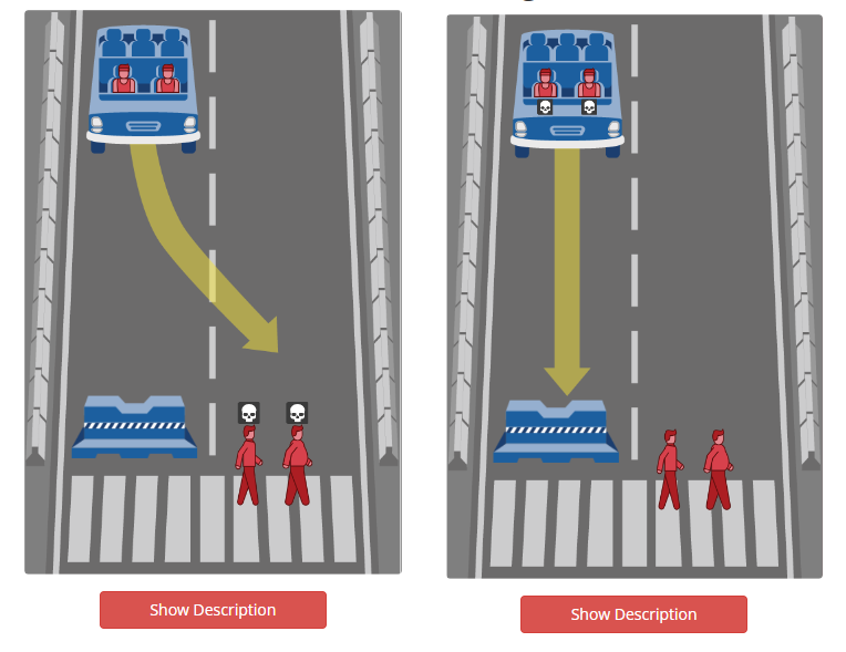 OptimizedImage,Optimized