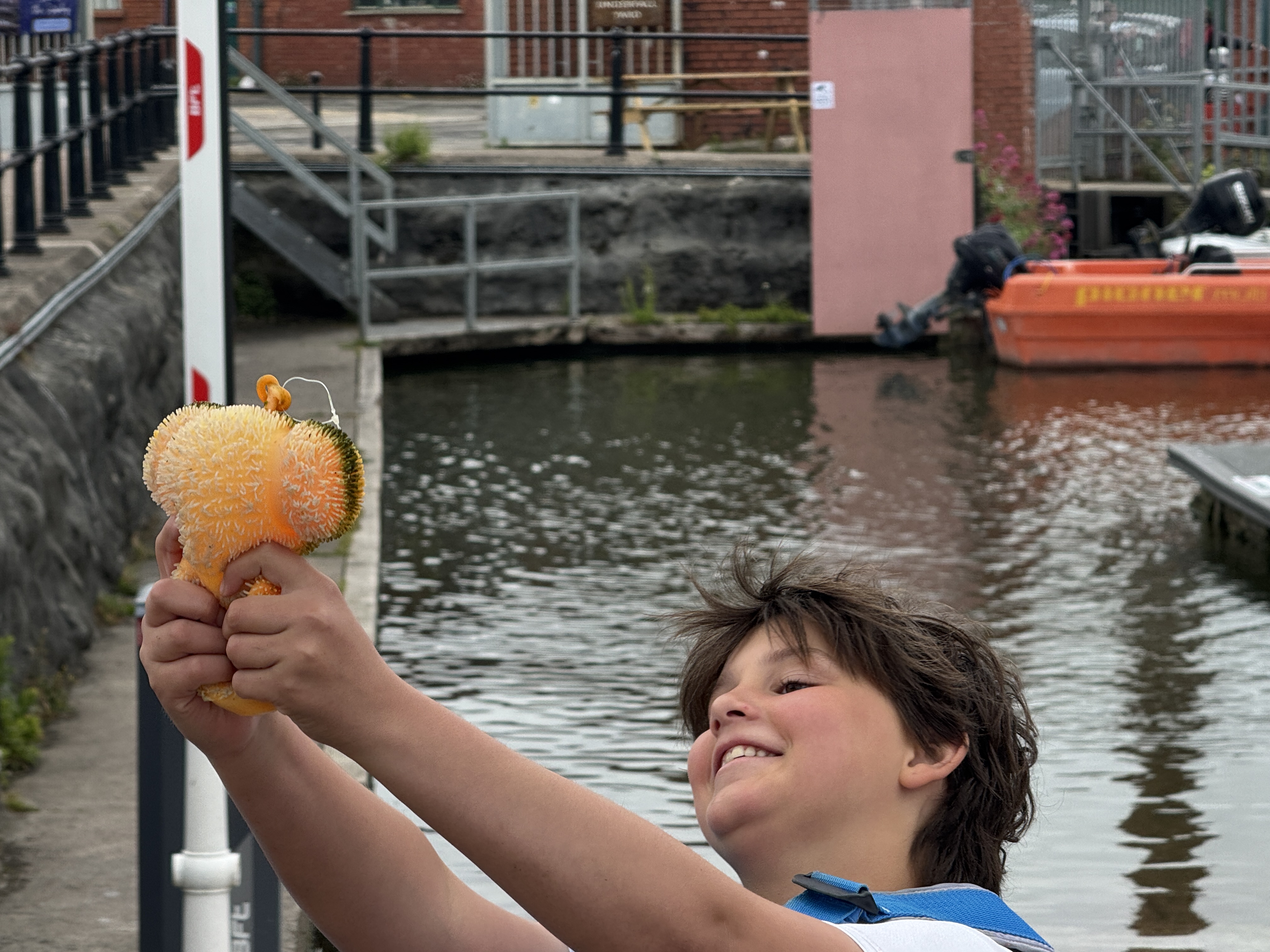 OriginalImage,Original