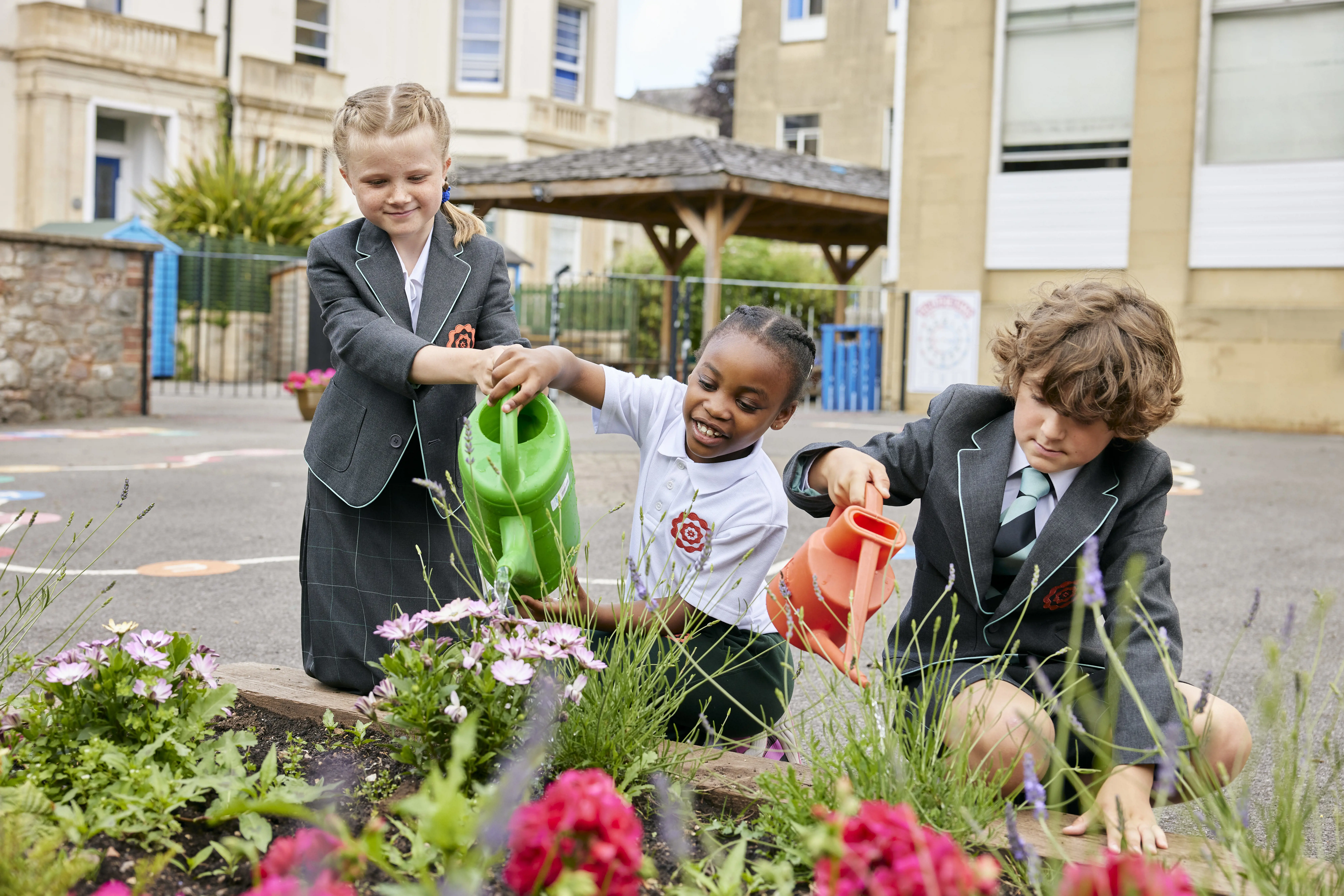 OptimizedImage,Optimized