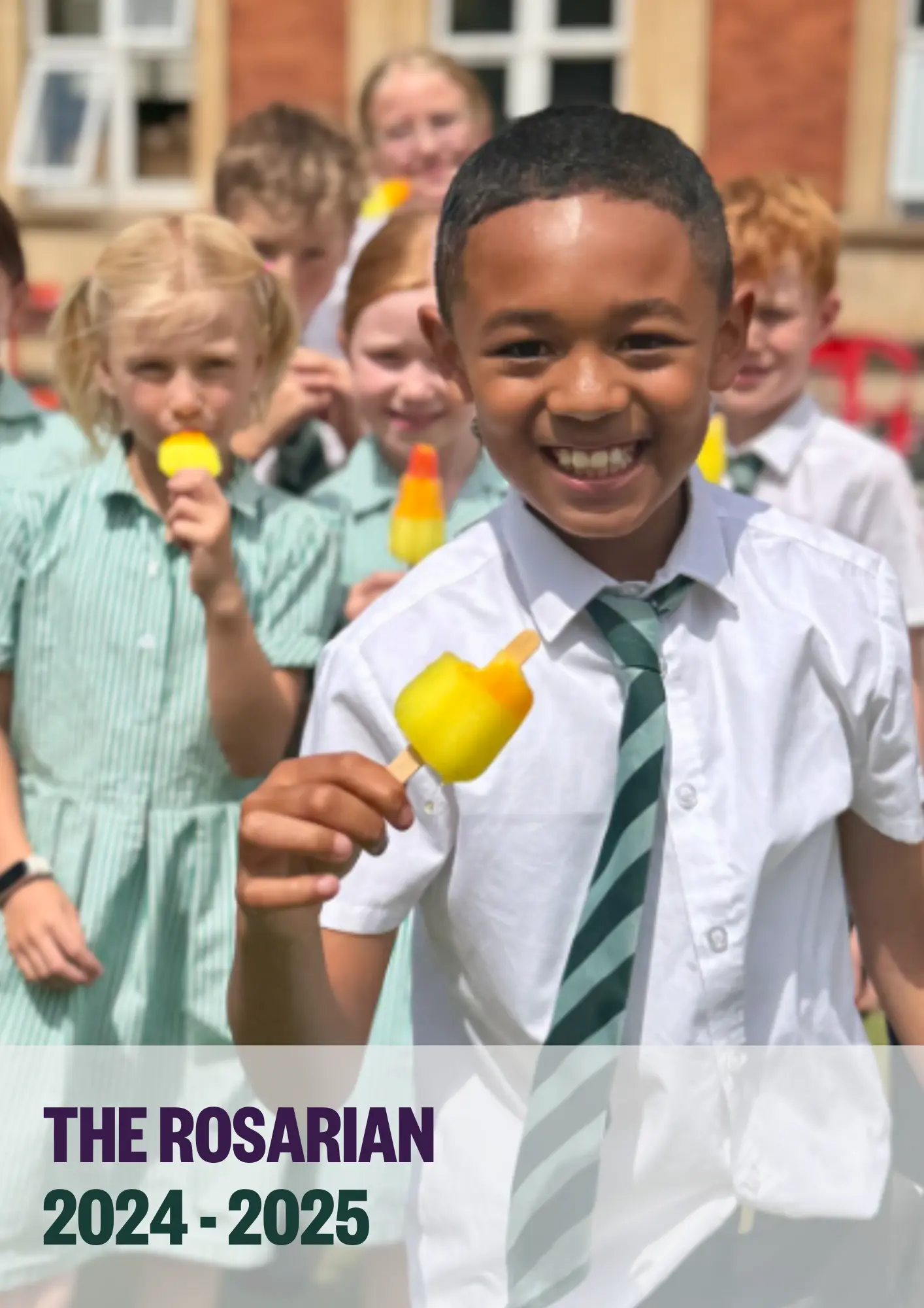  OptimizedImage,,,Optimized