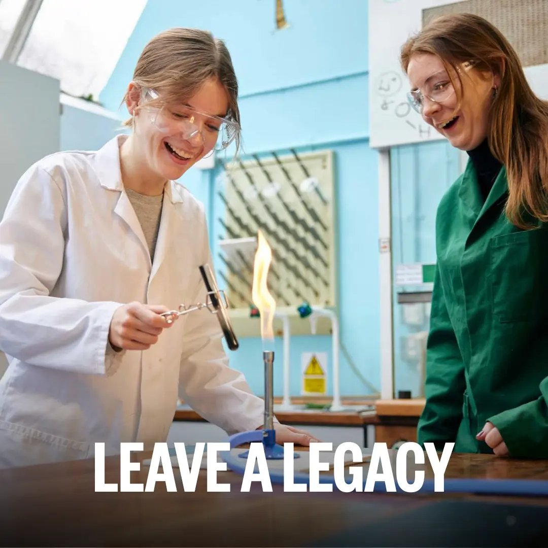  OptimizedImage,Optimized